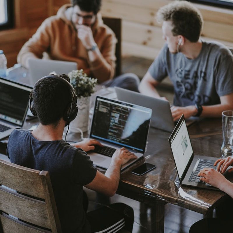 Web Development Company In India